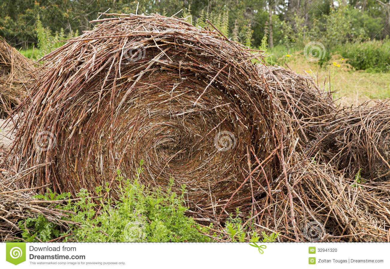 Old Pile Of Straw Or Hay Stock Photo   Image  32941320