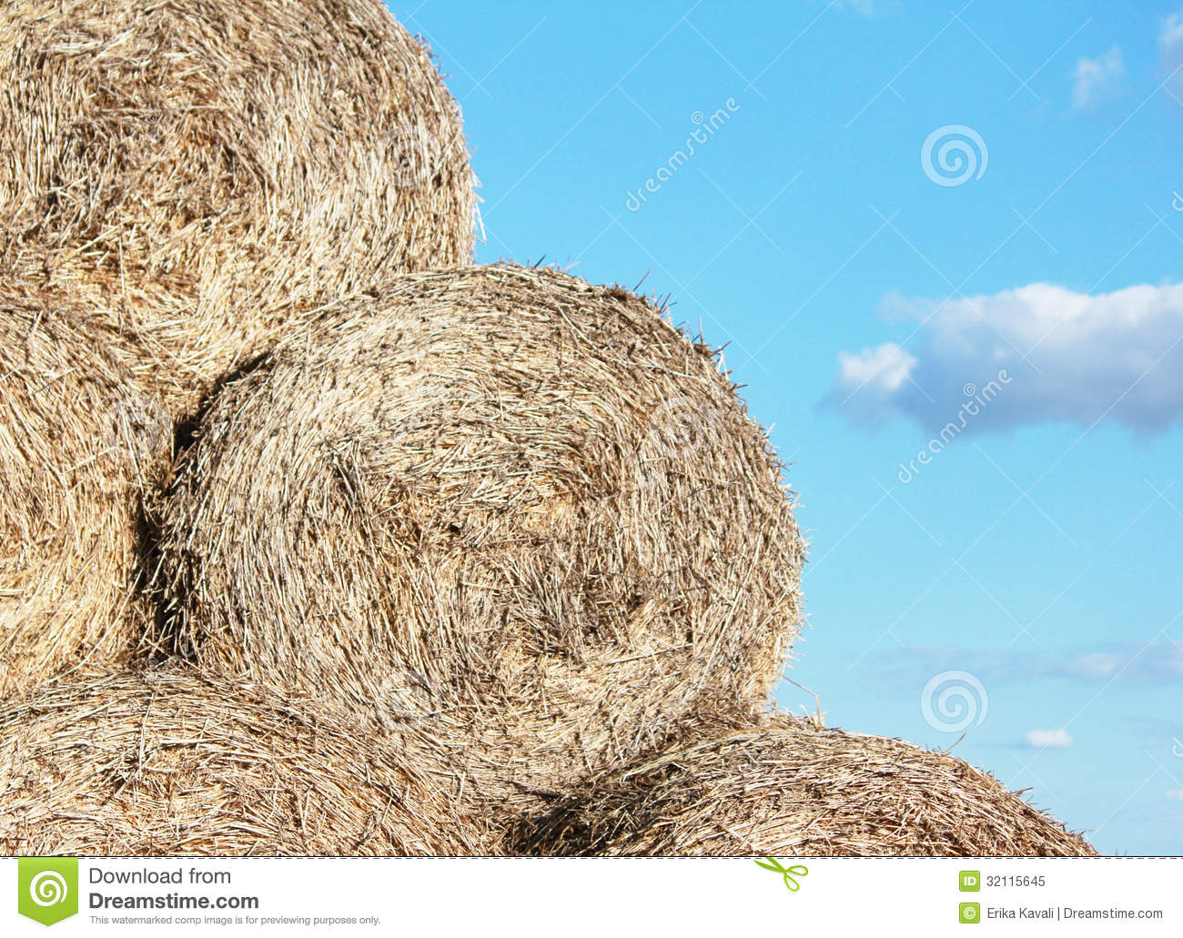 Pile Of Hay Royalty Free Stock Photo   Image  32115645