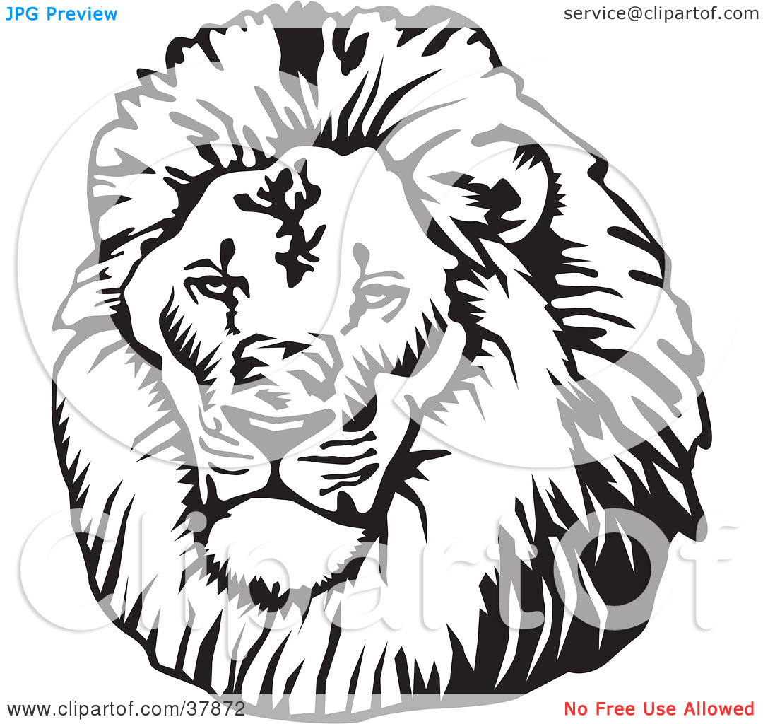 Clipart Illustration Of A Black And White Male Lion Head By David Rey