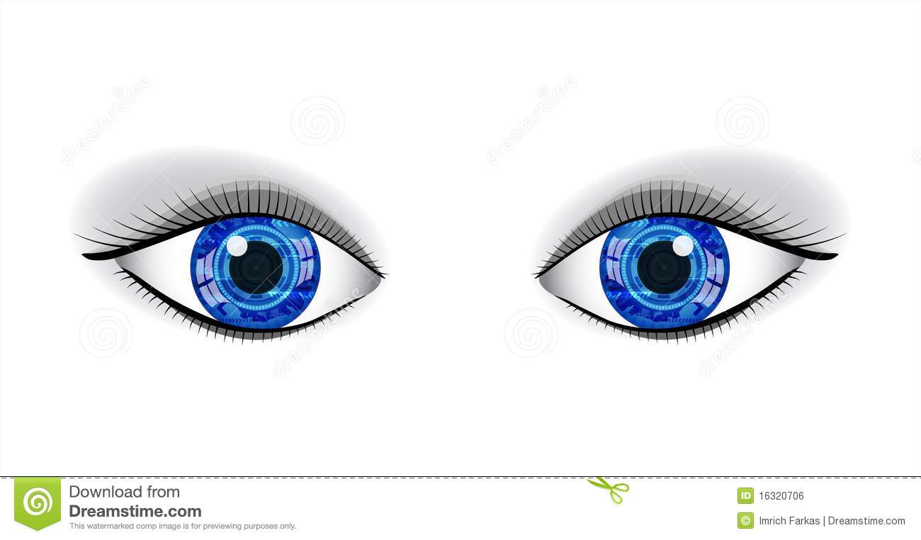 Pair Of Human Blue Eyes  Royalty Free Stock Image   Image  16320706