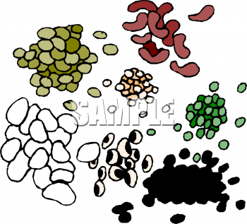 Can Of Beans Clipart Beans And Legumes