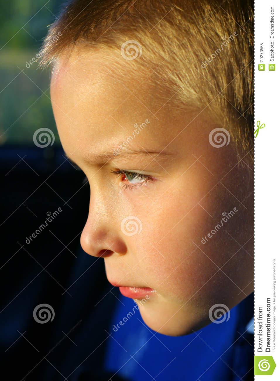 Serious Boy Face Royalty Free Stock Photo   Image  29273555