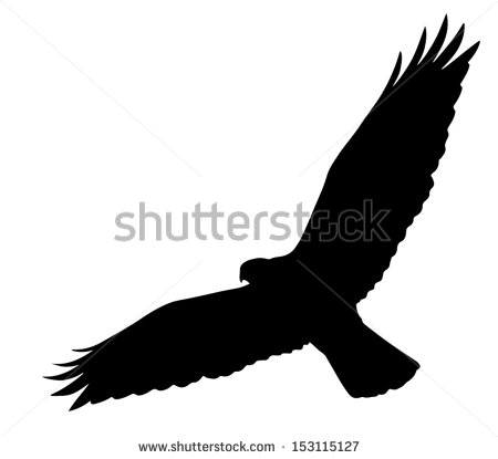 Hawk Silhouette Stock Photos Images   Pictures   Shutterstock