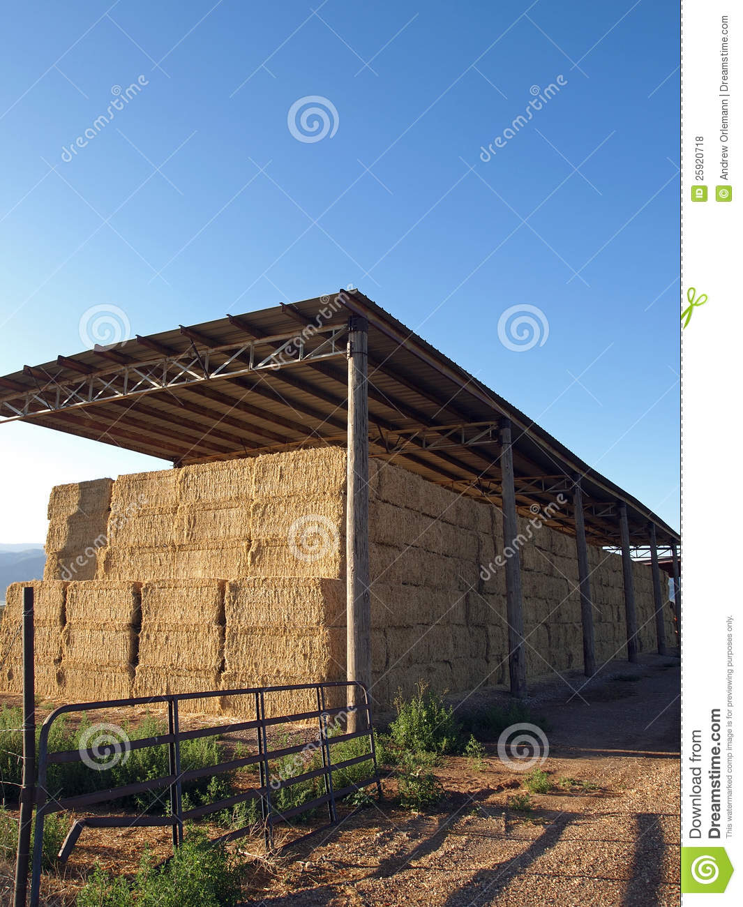 Pole Barn In A Rural Area Filled With Bales Of Alfalfa 