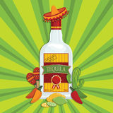 Bottle Tequila Stock Illustrations Vectors   Clipart    456 Stock