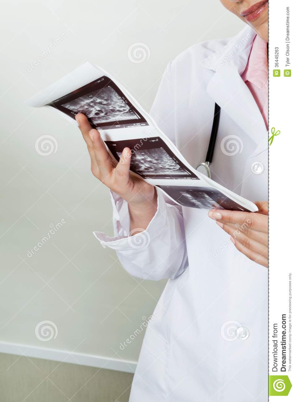 Midsection Of Female Radiologist In Lab Coat Holding Ultrasound Print
