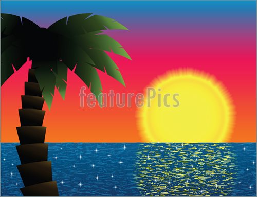 Escape To Paradise  Palm Tree Framing A Tropical Sunset Reflected