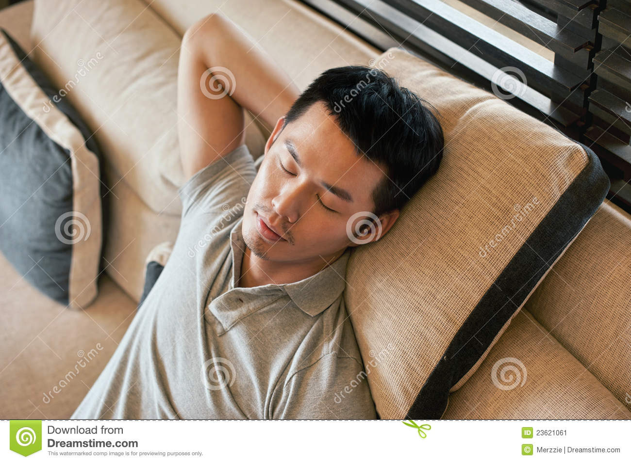 Attractive Asian Man Taking A Nap At Home On The Sofa 