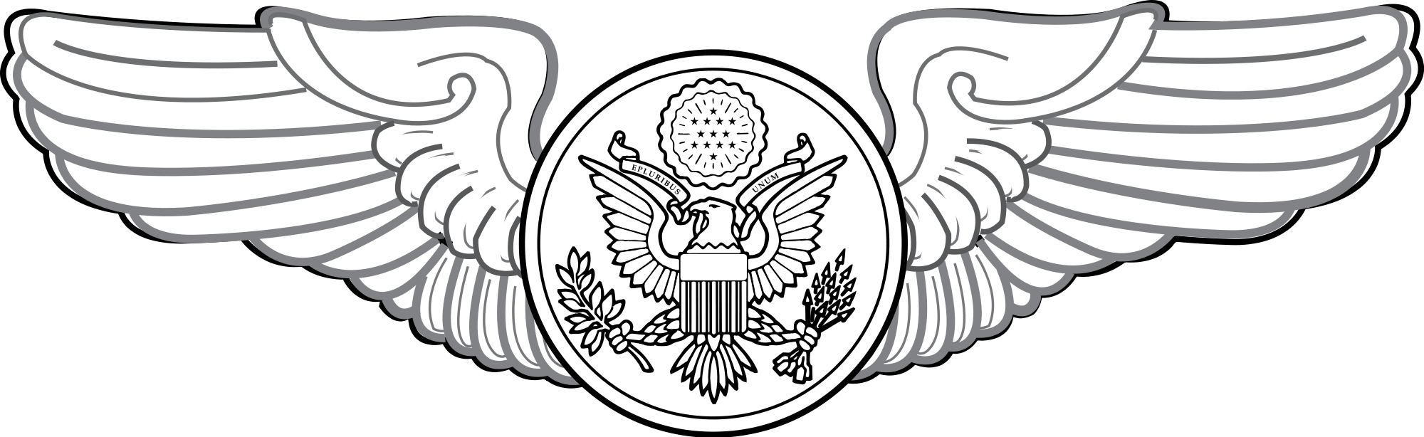 Military Badges Of The U S  Air Force   Stargate Meropis