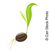 Seedling Illustrations And Clip Art  3188 Seedling Royalty Free