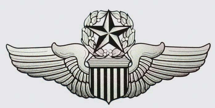 Usaf Command Pilot Wings Decal     4 00   Hat N Patch