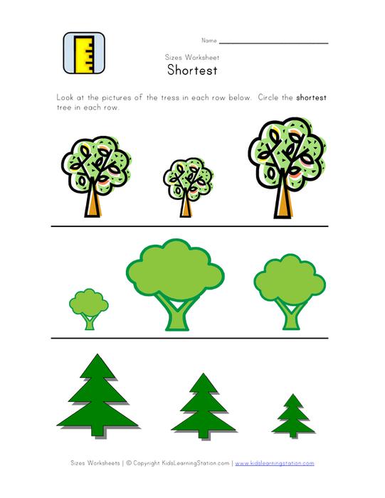 Worksheet With Different Types And Sizes Of Trees That Students Put In