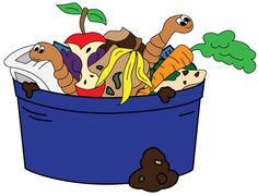 Worm Composting   Compost Everything   Your Guide To Composting In