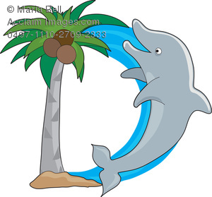 For Dolphin   Letters Of The Animal Alphabet Clip Art Illustration