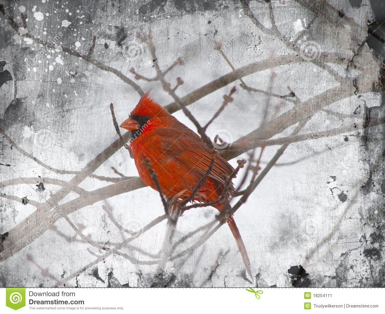 Illustration Of Red Cardinal Sitting On Branches In The Winter