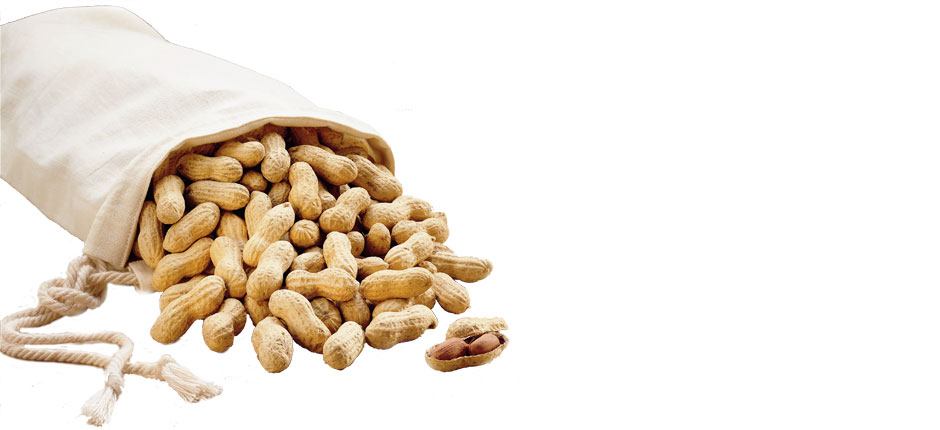 Bag Of Peanuts Peanuts
