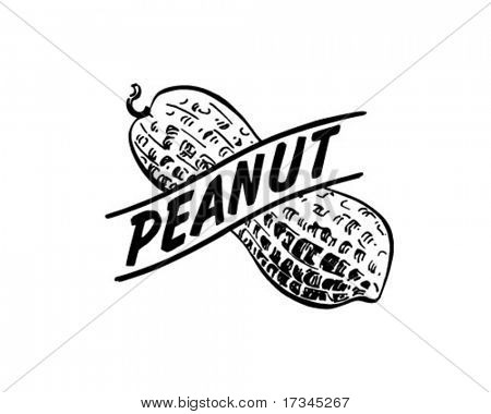 Peanut   Retro Clip Art Stock Vector   Stock Photos   Bigstock