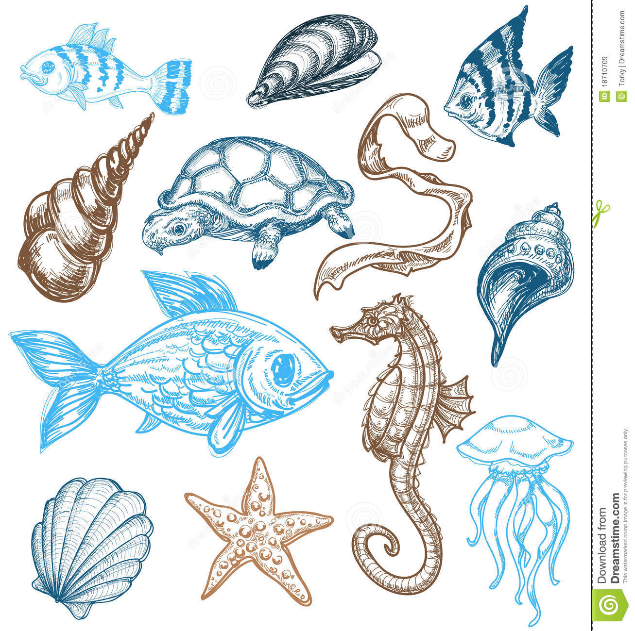 Royalty Free Stock Images  Marine Life Collection