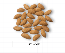 Almonds   Http   Www Wpclipart Com Food Nuts Almonds Png Html