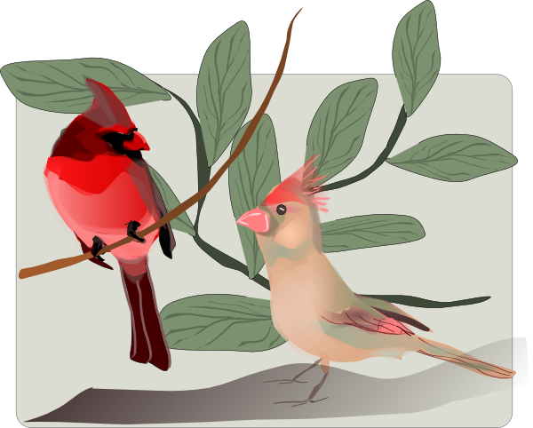 Cardinals Clip Art At Clker Com   Vector Clip Art Online Royalty Free