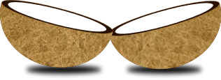 Coconut   Http   Www Wpclipart Com Food Nuts Coconut Png Html