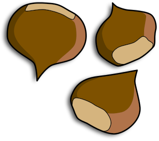 Free Nuts Clipart   Clipart Picture 7 Of 10