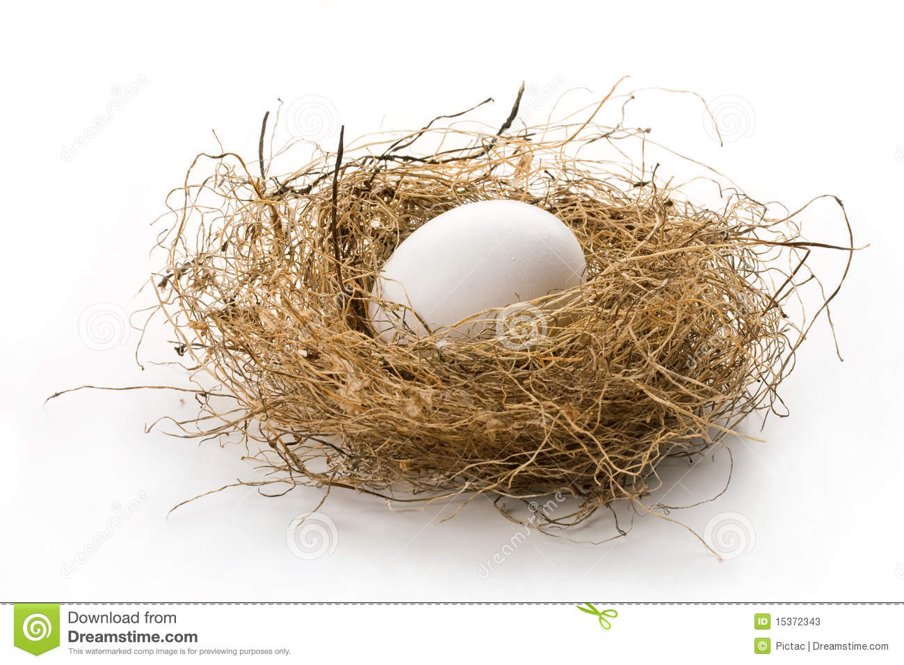 In The Bird Nest Isolated On White  Concept Of Retirement Nest Egg
