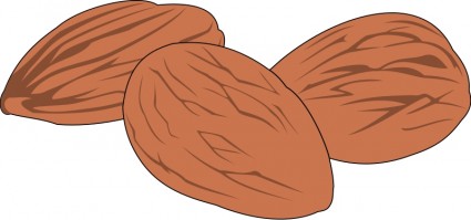 Nut 02 Vector Clip Art   Free Vector For Free Download
