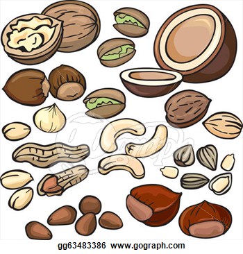 Vector Illustration   Nuts Seeds Icon Set  Stock Clip Art Gg63483386