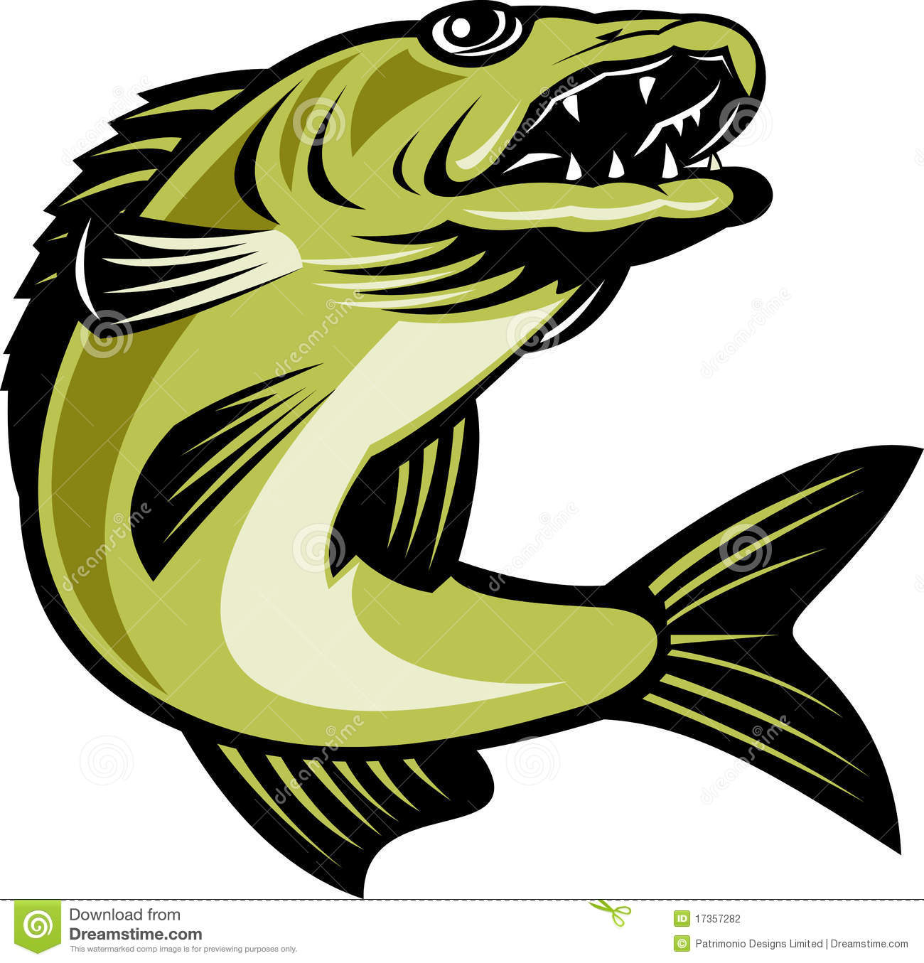 Retro Illustration Of A Walleye Fish Jumping Isolated On White