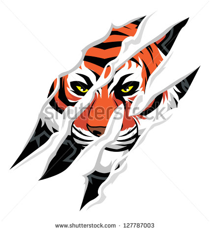 Tiger Claw Mark Stock Vector Illustration 127787003   Shutterstock