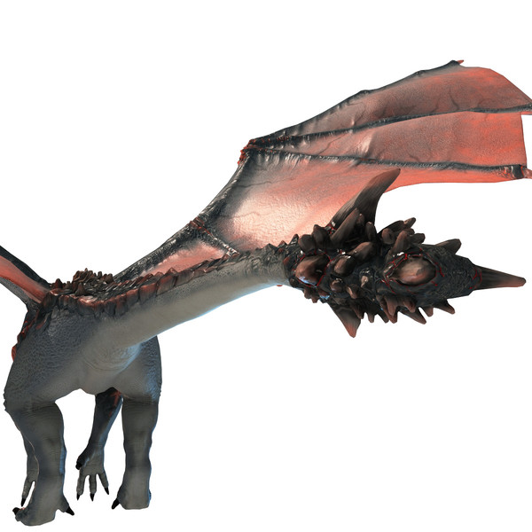 35 Realistic Dragon Pictures Free Cliparts That You Can Download To