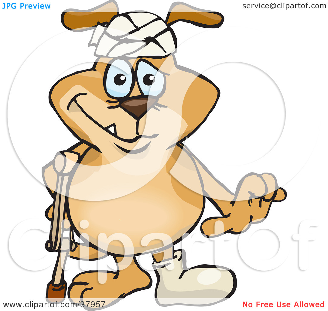 Clipart Illustration Of A Beat Up Brown Dog Wearing A Cast And Head