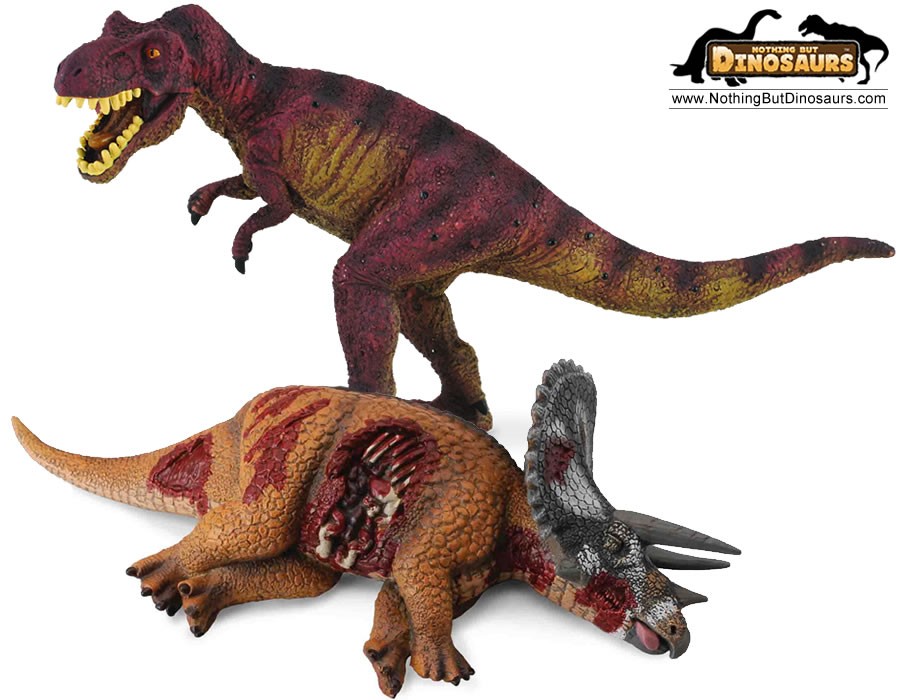 Collecta Realistic T Rex And Dead Triceratops Dinosaur Collectible Toy