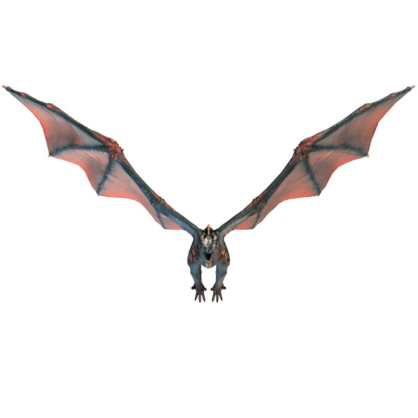 Realistic Dragon Pictures Free Cliparts That You Can Download To You