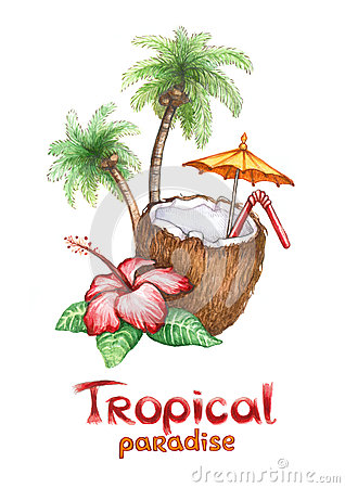 Tropical Paradise Stock Photo   Image  25527560