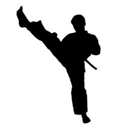 Taekwondo Kick Silhouette Cutcaster Photo 100532101