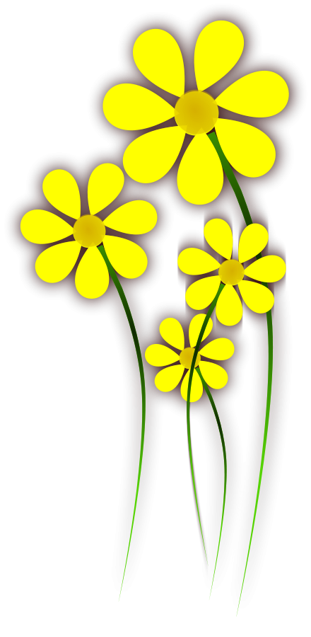 Daisies Yellow Flower Clipart Large Size