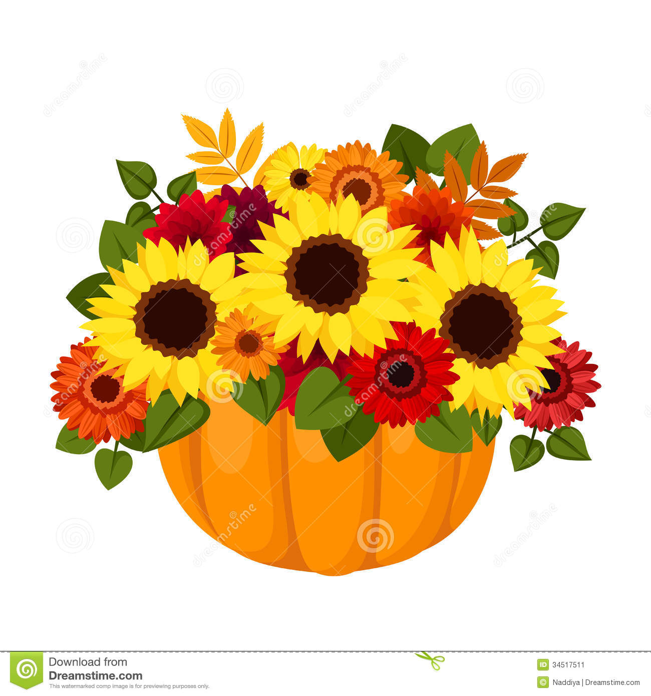 Calendula Dahlia Flowers And Leaves Isolated On A White Background