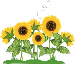 Clip Art Images Sunflowers Stock Photos   Clipart Sunflowers Pictures