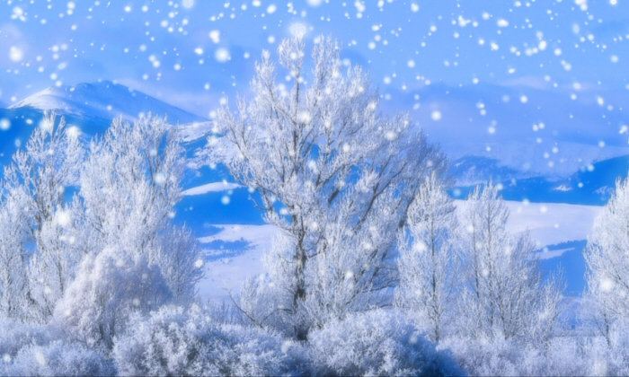Snow Falling Wallpapers   Landscape Wallpapers Hd Wallpapers Nature