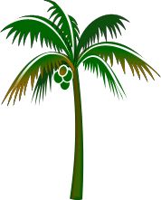 Brigitte Vector Art  Free Clipart Florida Palms Nature Coast
