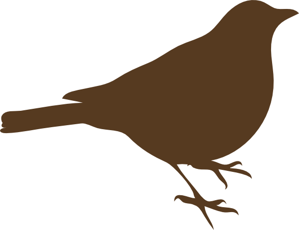 Brown Song Bird Clip Art At Clker Com   Vector Clip Art Online