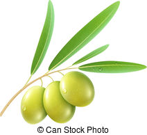 Olives Clipart And Stock Illustrations  6679 Olives Vector Eps