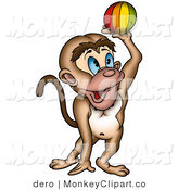Playful Blue Eyed Monkey Catching Or Throwing A Colorful Ball By Dero