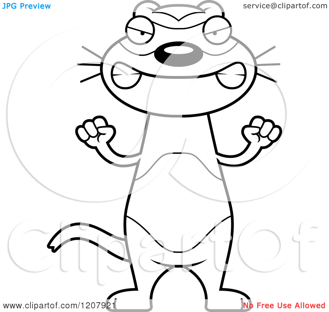 Of A Black And White Mad Skinny Ferret   Royalty Free Vector Clipart
