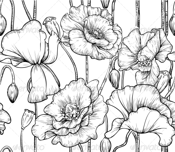 Seamless Pattern Of Black And White Poppies  Flowers   Plants    