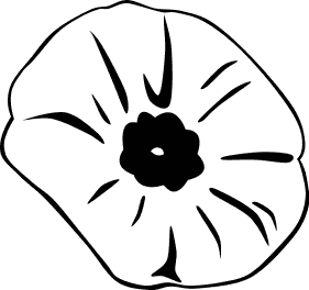 Search Terms  Black And White Blossom Flower Poppy
