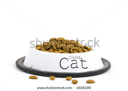 Cat Food Can Clip Art Bowl With Cat Food