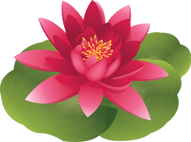 Water Lily Pad Flower Clip Art